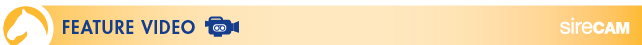 Header Feature Video